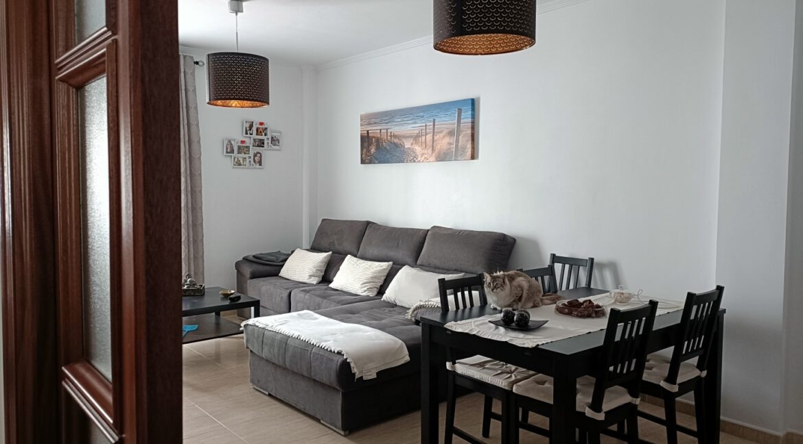 IMG20260331115726 (Large)