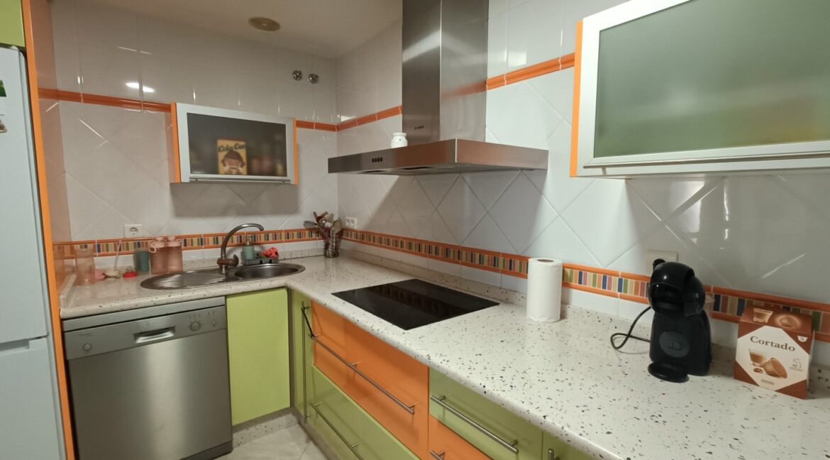 IMG20260408174038 (Large)